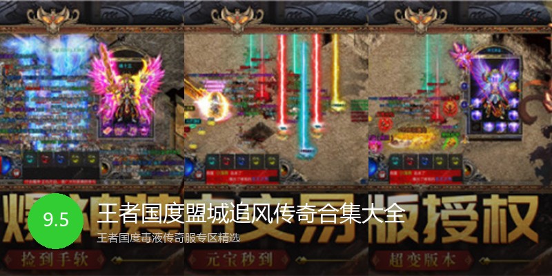 王者国度盟城追风传奇合集大全