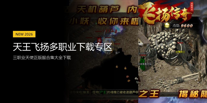 天王飞扬多职业下载专区