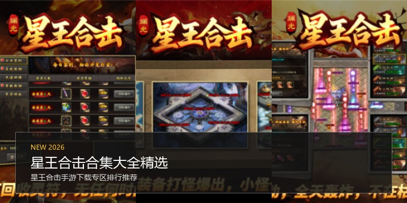 星王合击合集大全精选