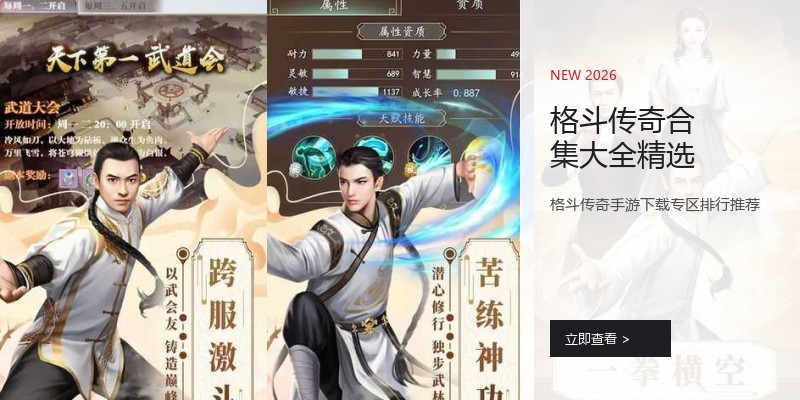 格斗传奇合集大全精选