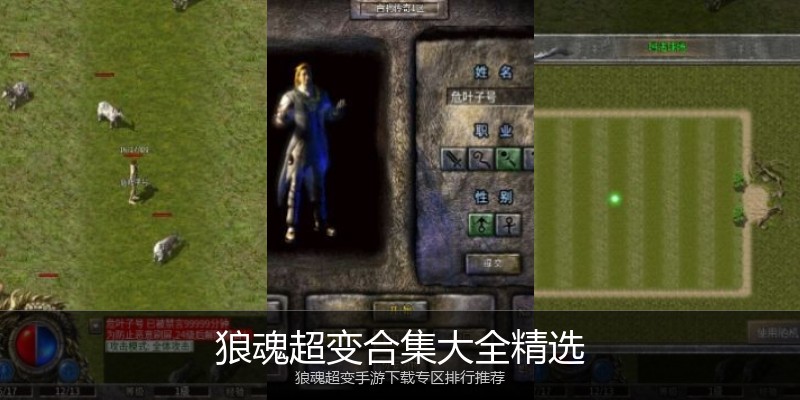 狼魂超变合集大全精选