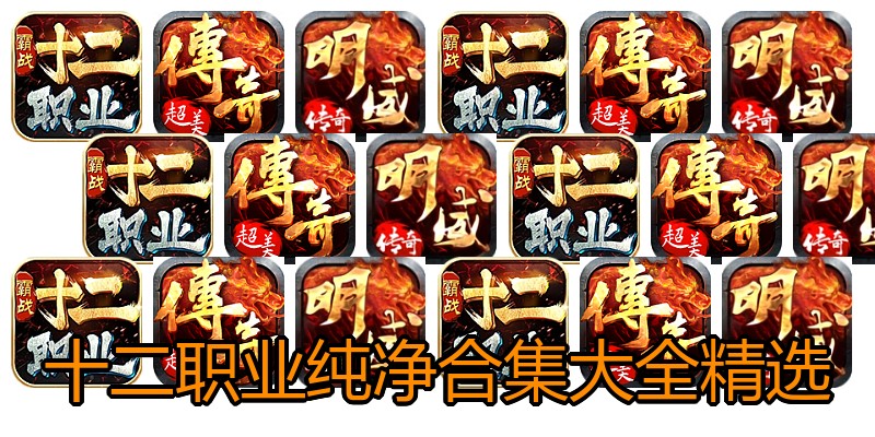 十二职业纯净合集大全精选