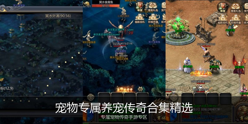 宠物专属养宠传奇合集精选