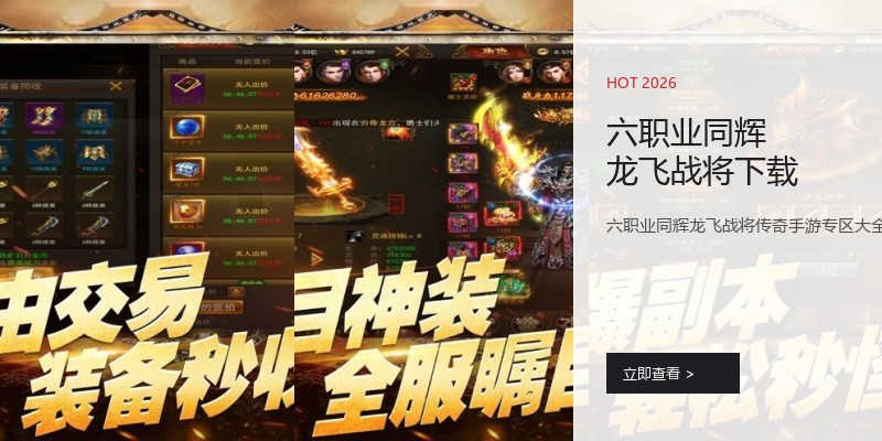 六职业同辉龙飞战将下载