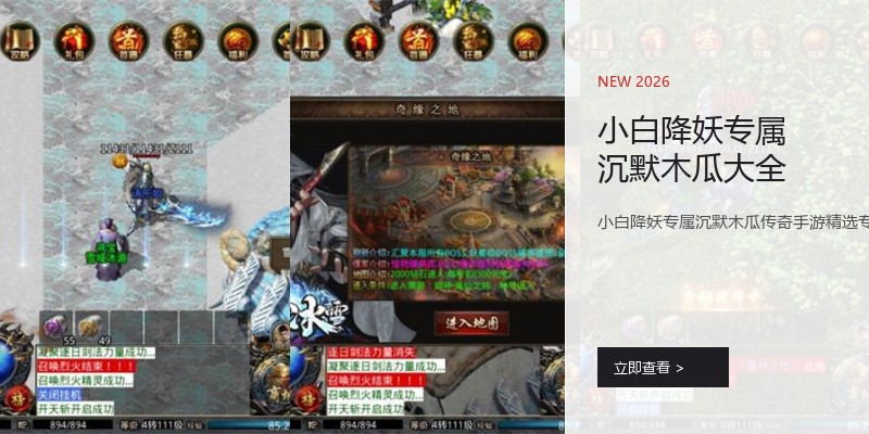 小白降妖专属沉默木瓜大全