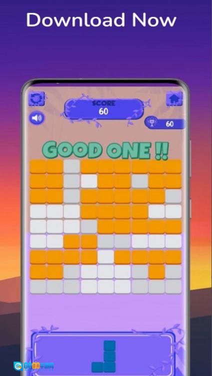 积木在线拼图(BlockPuzzleOnline)手机最新版图1