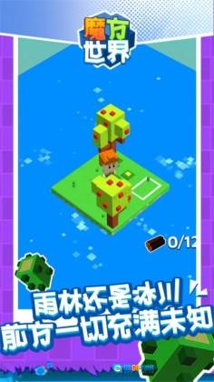 魔方世界直装版图2