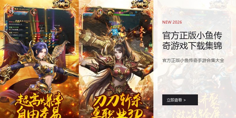 官方正版小鱼传奇游戏下载集锦