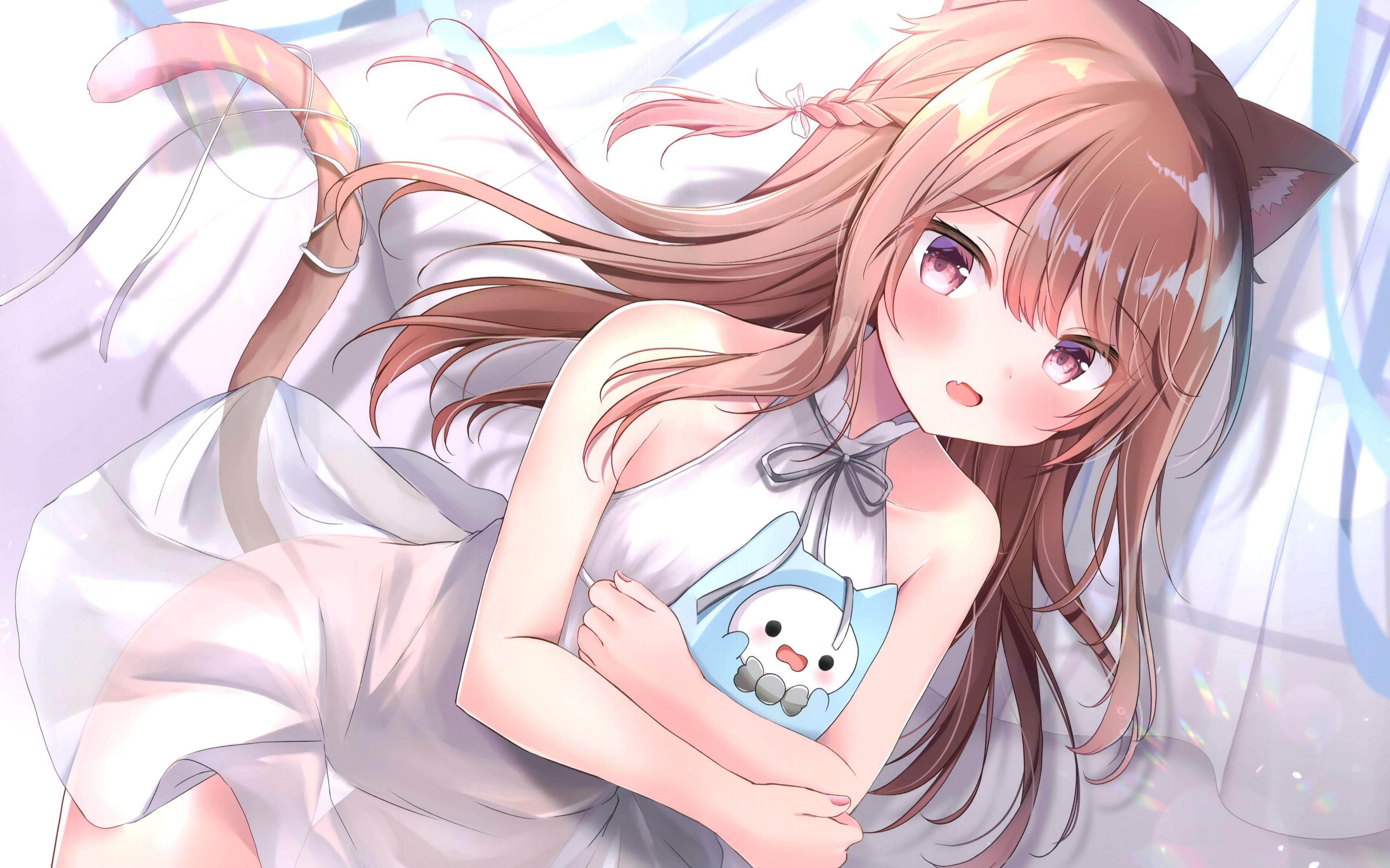 akianime软件合集