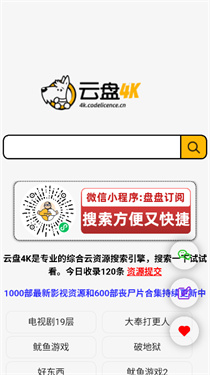 云盘4k搜索引擎(2)