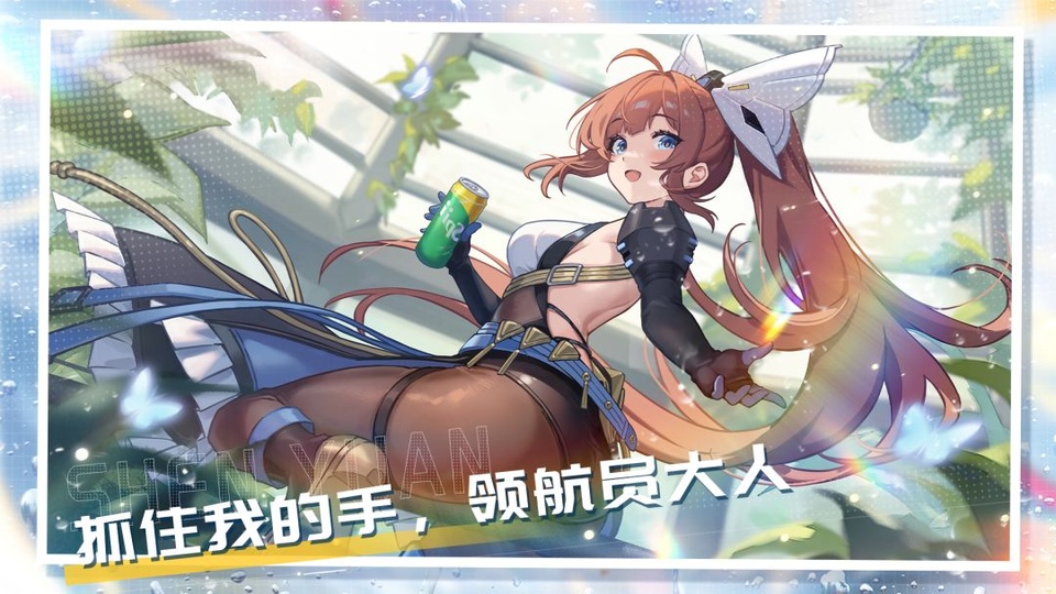 深鸢版本合集