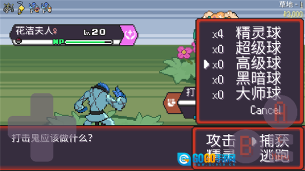 宝可梦肉鸽汉化版图11