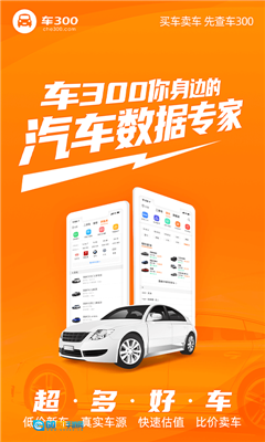 车300二手车安卓免费版图3