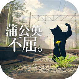 蒲公英不屈