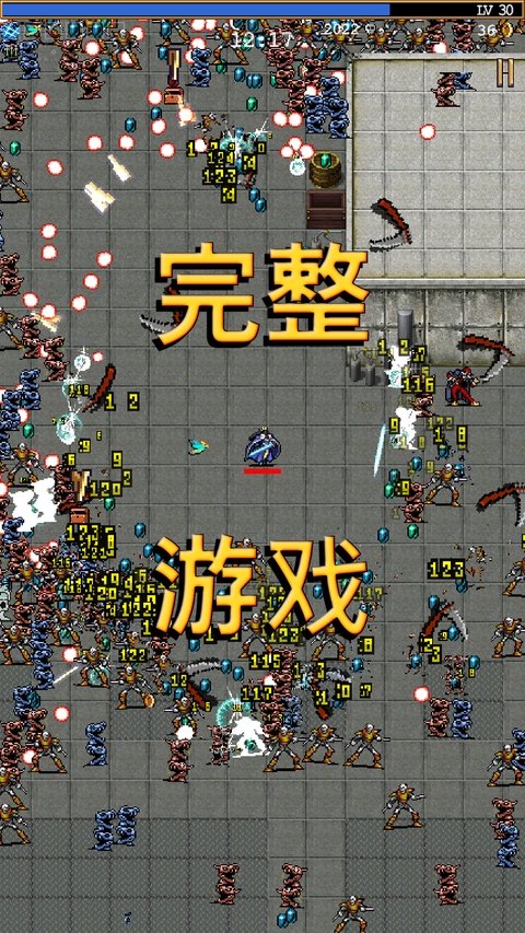 吸血鬼幸存者官方版图2