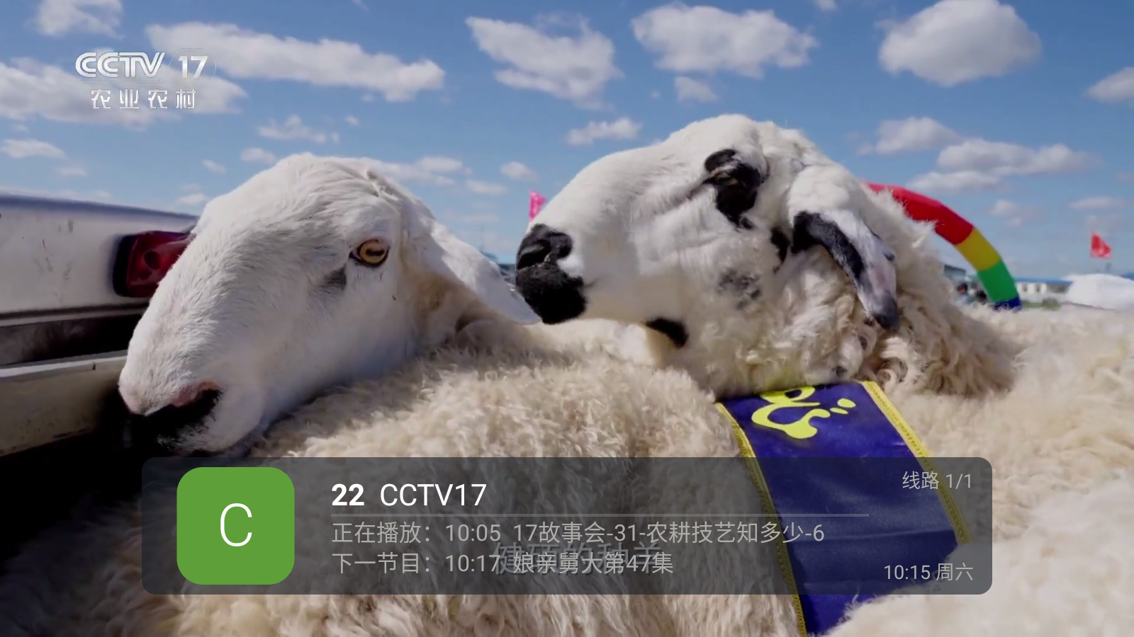蚂蚁直播电视版图3