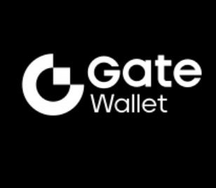gate交易所安卓版 v1.0