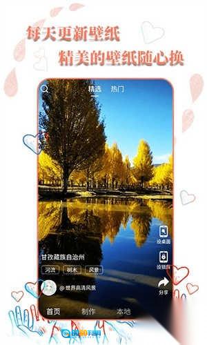 动态壁纸选择器最新版图4