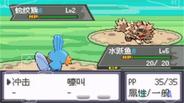 口袋妖怪绿宝石免费版(2)