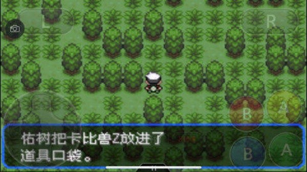 口袋妖怪绿宝石免费版(3)