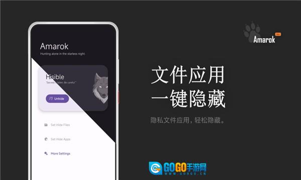Amarok直装版图3