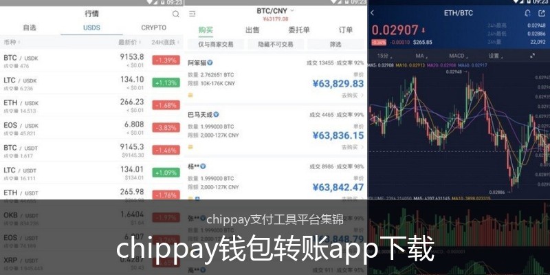 chippay钱包转账app下载