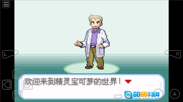 口袋妖怪不归之殇暗图3