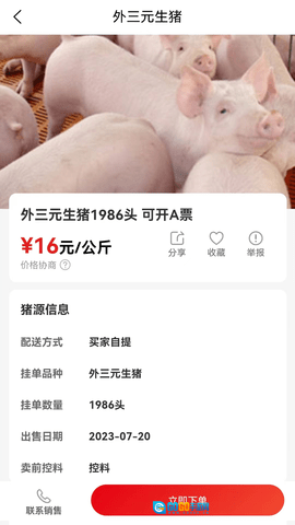 国家生猪市场手机正版图2