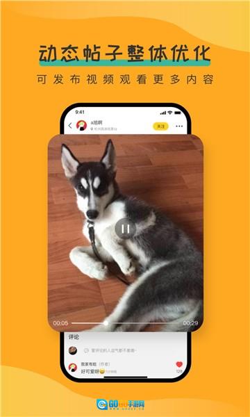 宠胖胖官方正版图1