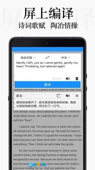 DB翻译手机最新版图3