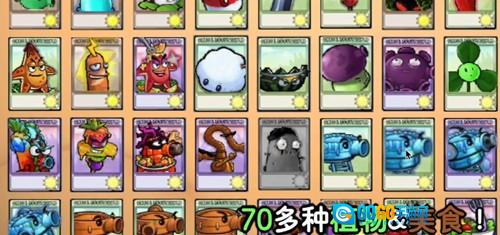 植物大战僵尸时空之乱玩家自制版图2
