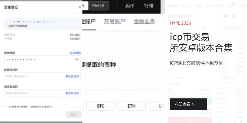 icp币交易所安卓版本合集