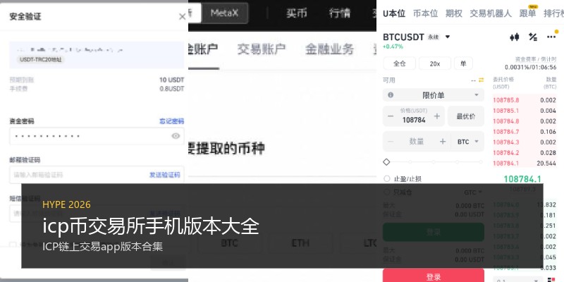 icp币交易所手机版本大全