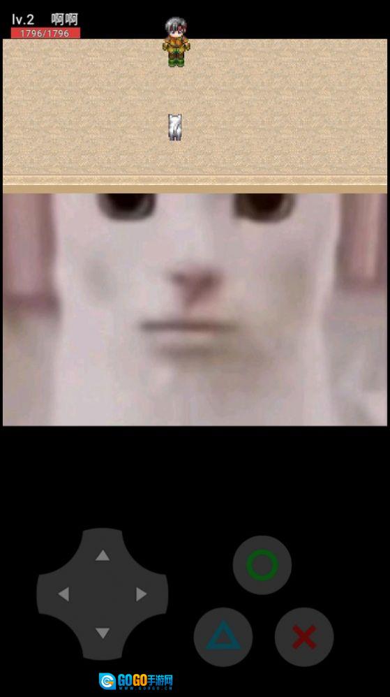 猫咪惊魂版图2