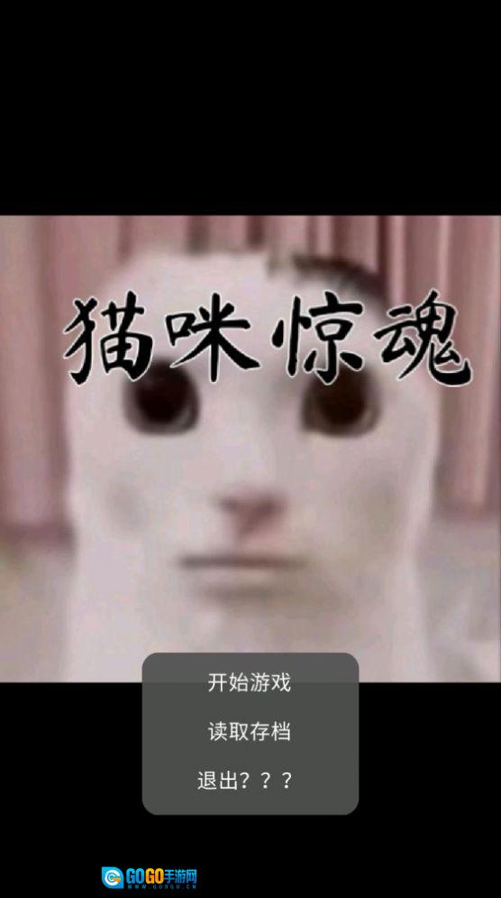 猫咪惊魂版图1