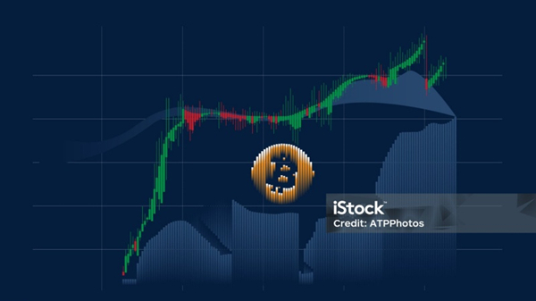 ownbit钱包软件