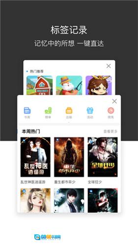 绿叶浏览器最新版图3