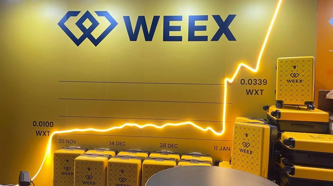 week交易所