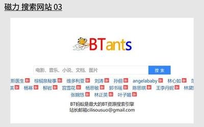 bt蚂蚁磁力搜索