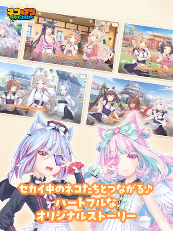 猫娘乐园世界连结图3