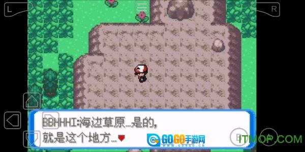 口袋妖怪永恒之炎xyz图1