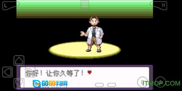口袋妖怪永恒之炎xyz图2