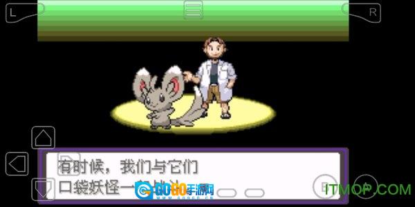 口袋妖怪永恒之炎xyz图3