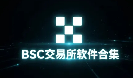 BSC交易所软件合集