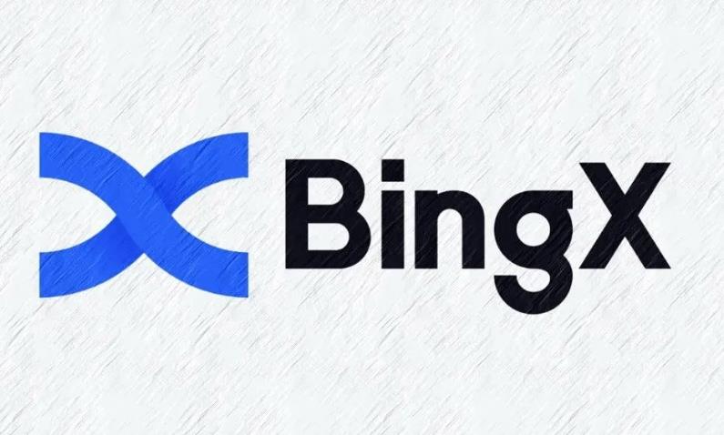 BingX交易所版本大全