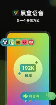 黑盒语音手机免费版图3