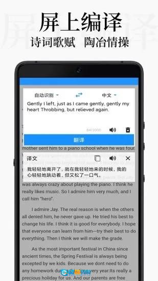 DB翻译安卓官方版图3